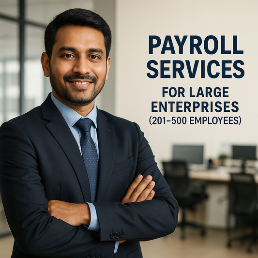 Payroll Services for Large Enterprises (201–500 Employees)